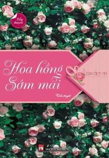 Hoa Hồng Sớm Mai đọc online